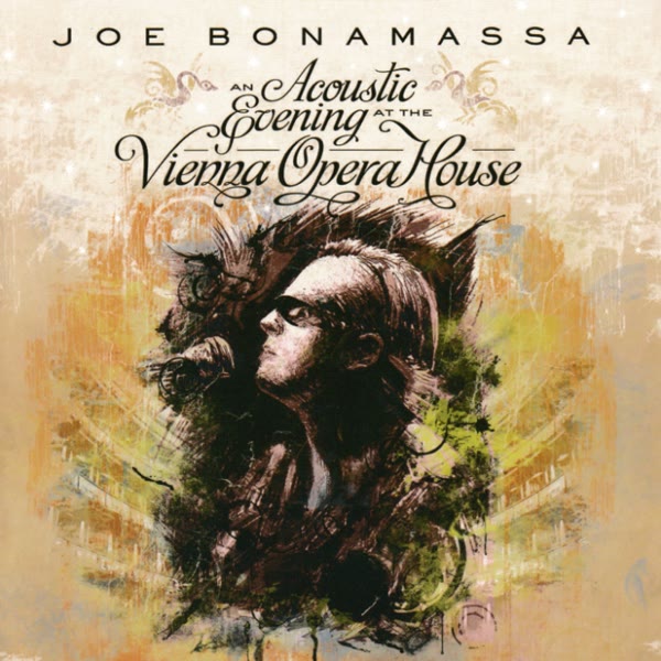 An Acoustic Evening At The Vienna Opera House