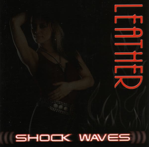 Shock Waves