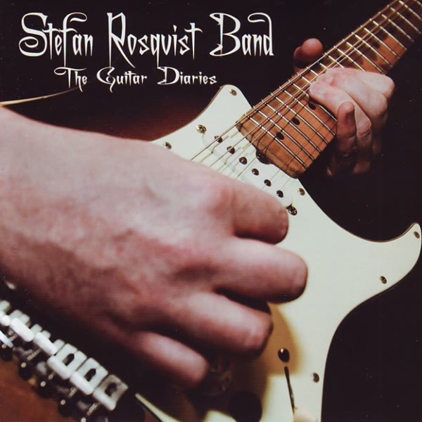 The Guitar Diaries