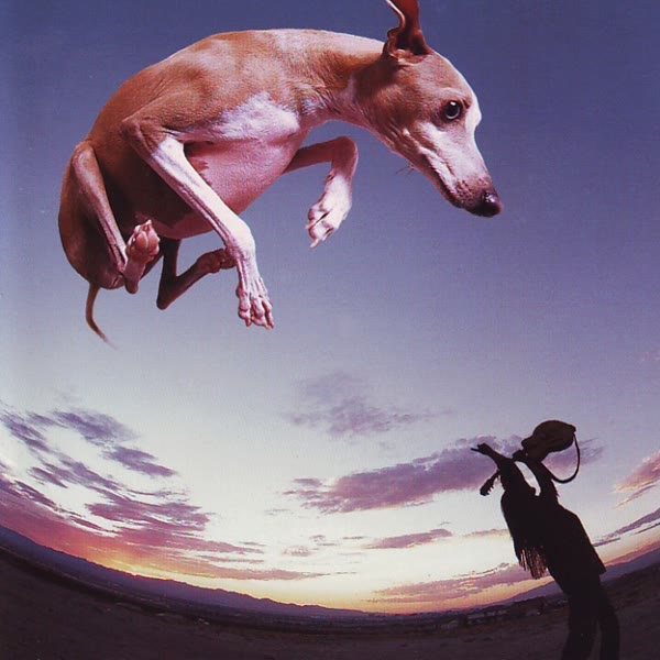 Flying Dog