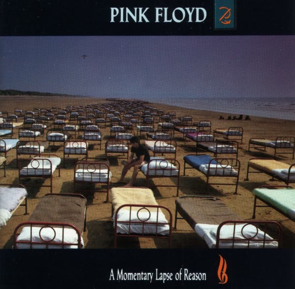 A Momentary Lapse Of Reason