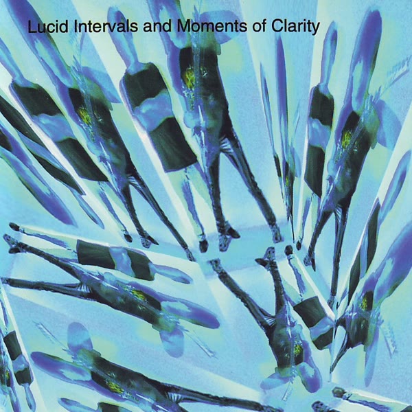 Lucid Intervals And Moments Of Clarity
