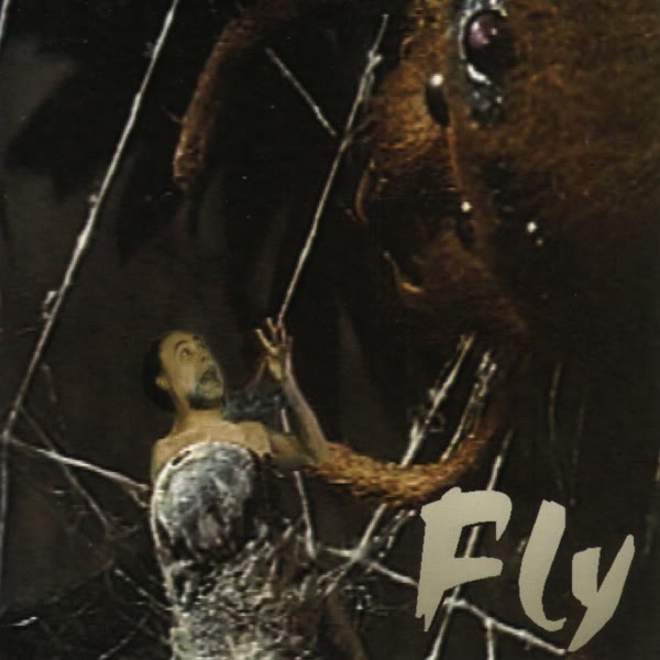 Fly