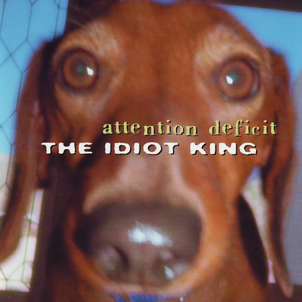 Idiot King