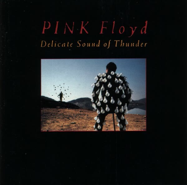 Delicate Sound Of Thunder