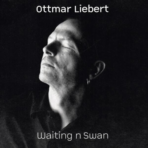 Waiting N Swan