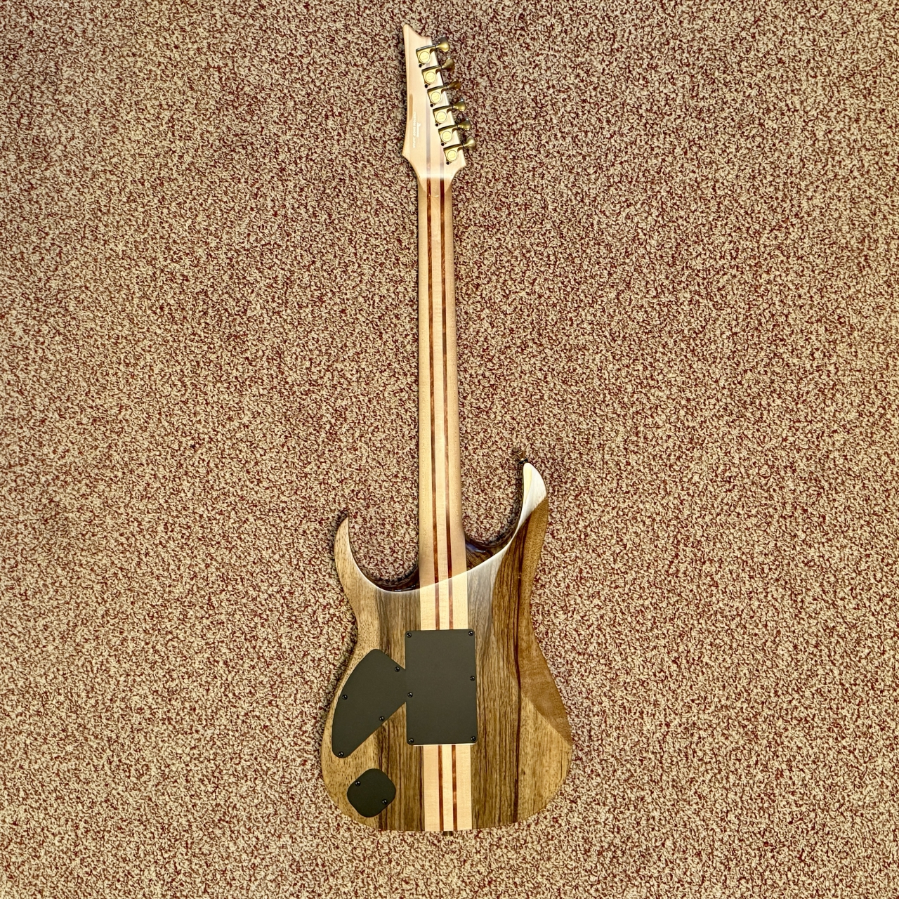 Ibanez IV2RG Visions