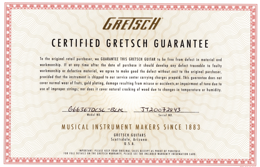 Gretsch G6636TSL Silver Falcon