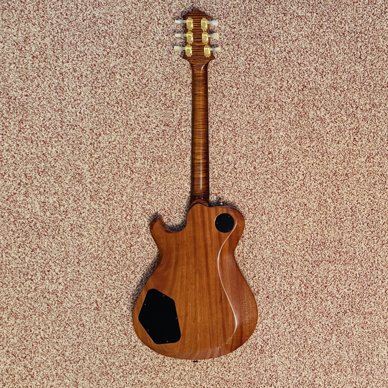 Knaggs Kenai Reef Of Life