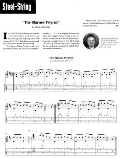 Steel String: "The Blarney Pilgrim"