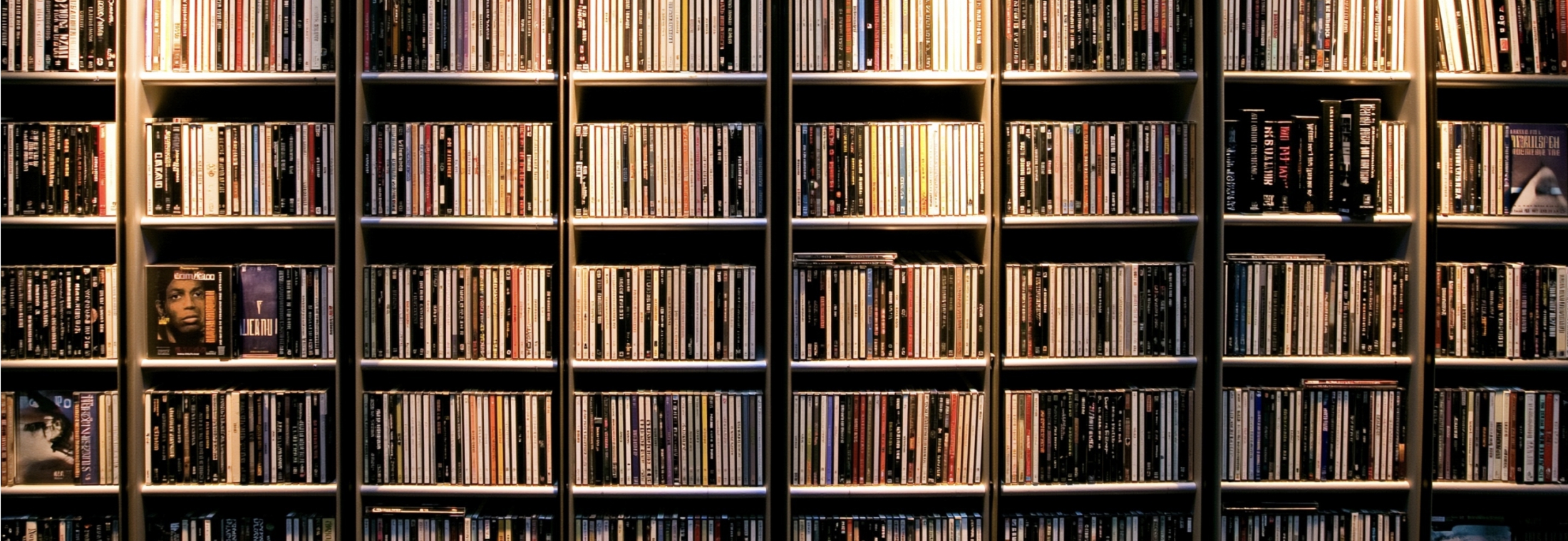 The room, wide and level. Shelves, gear, everything in one frame. This runs the full width as a full stop at the bottom, so a horizontal composition with depth works best.