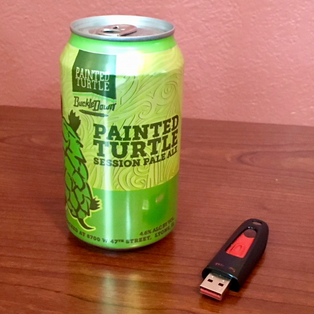 BuckleDown Brewing Painted Turtle Session Pale Ale (12 oz) Dan McAvinchey
