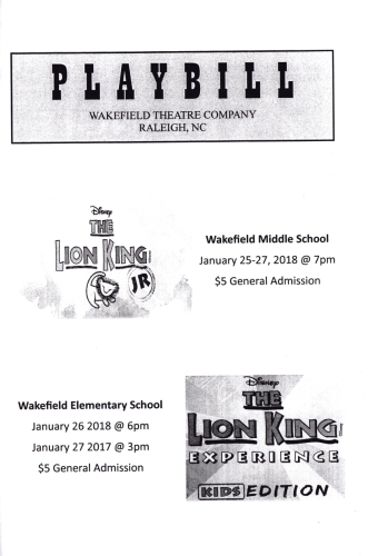 The Lion King Experience: Kids Edition