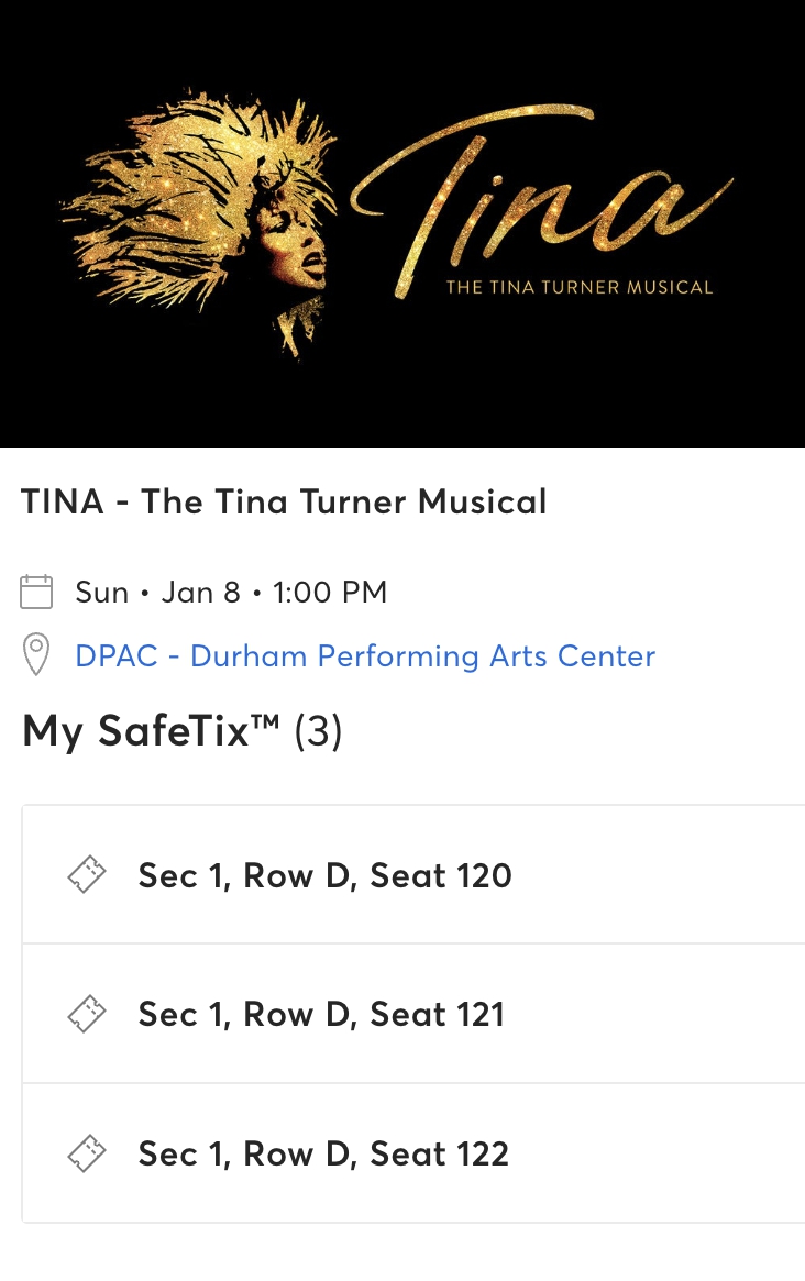 Tina: The Tina Turner Musical
