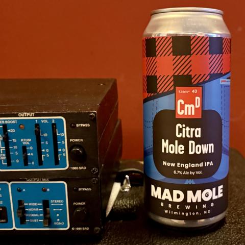 Mad Mole Brewing Citra Mole Down New England IPA (16 oz)