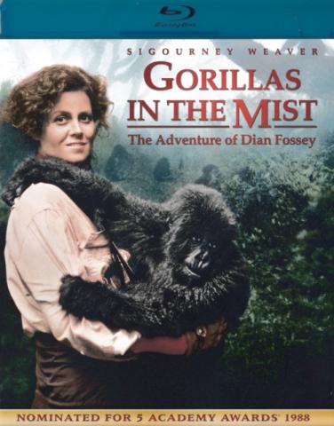 Gorillas In The Mist