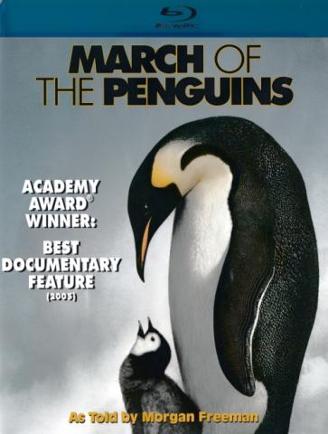 March Of The Penguins