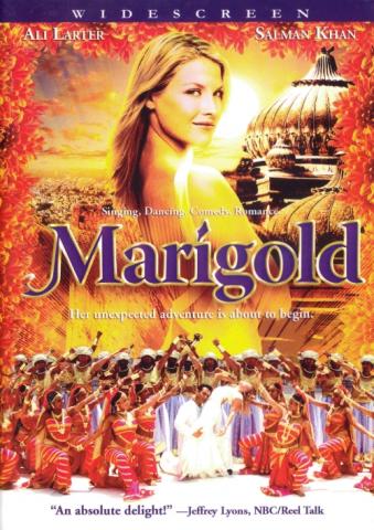 Marigold