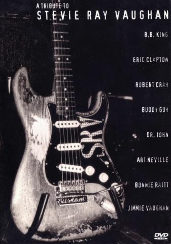 A Tribute To Stevie Ray Vaughan