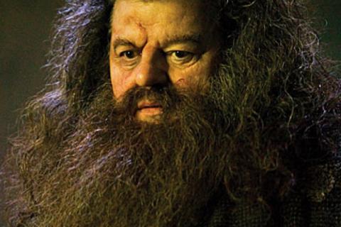 Robbie Coltrane