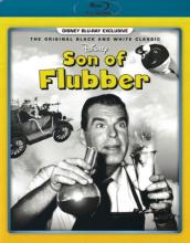 Son Of Flubber