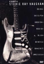 A Tribute To Stevie Ray Vaughan