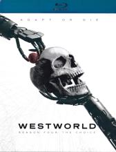 Westworld: Season Four: The Choice